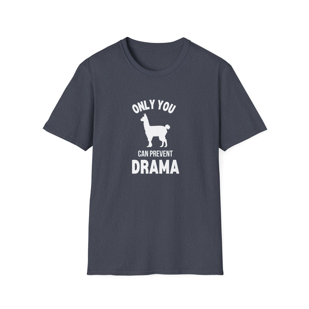 Only You Can Prevent Drama T-Shirt