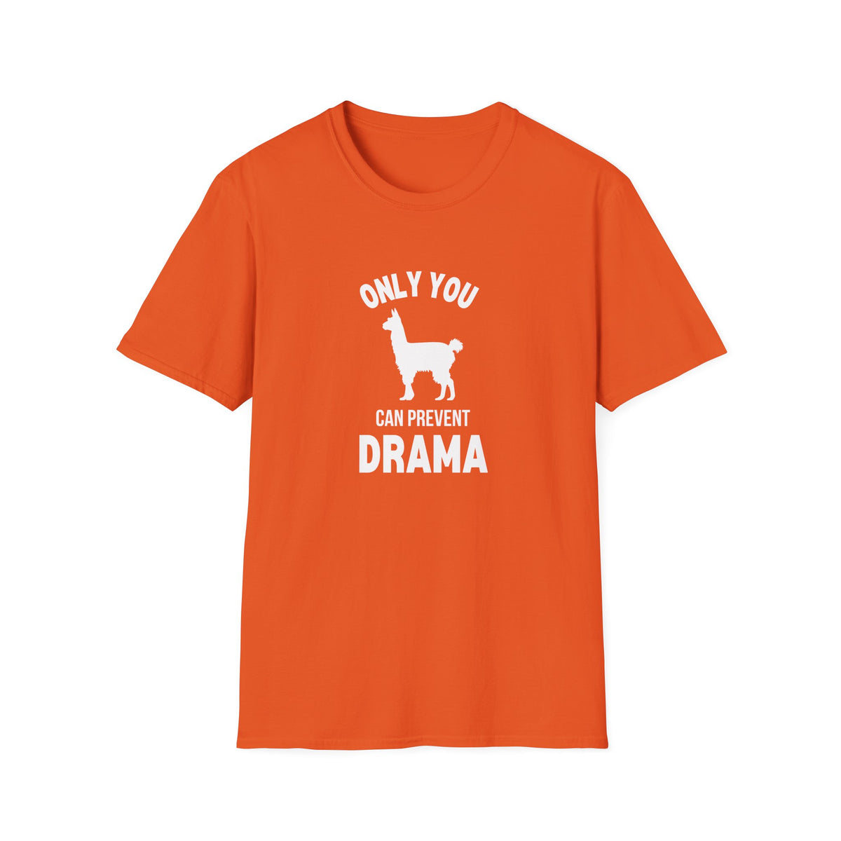 Only You Can Prevent Drama T-Shirt