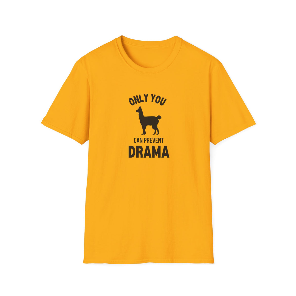 Only You Can Prevent Drama T-Shirt