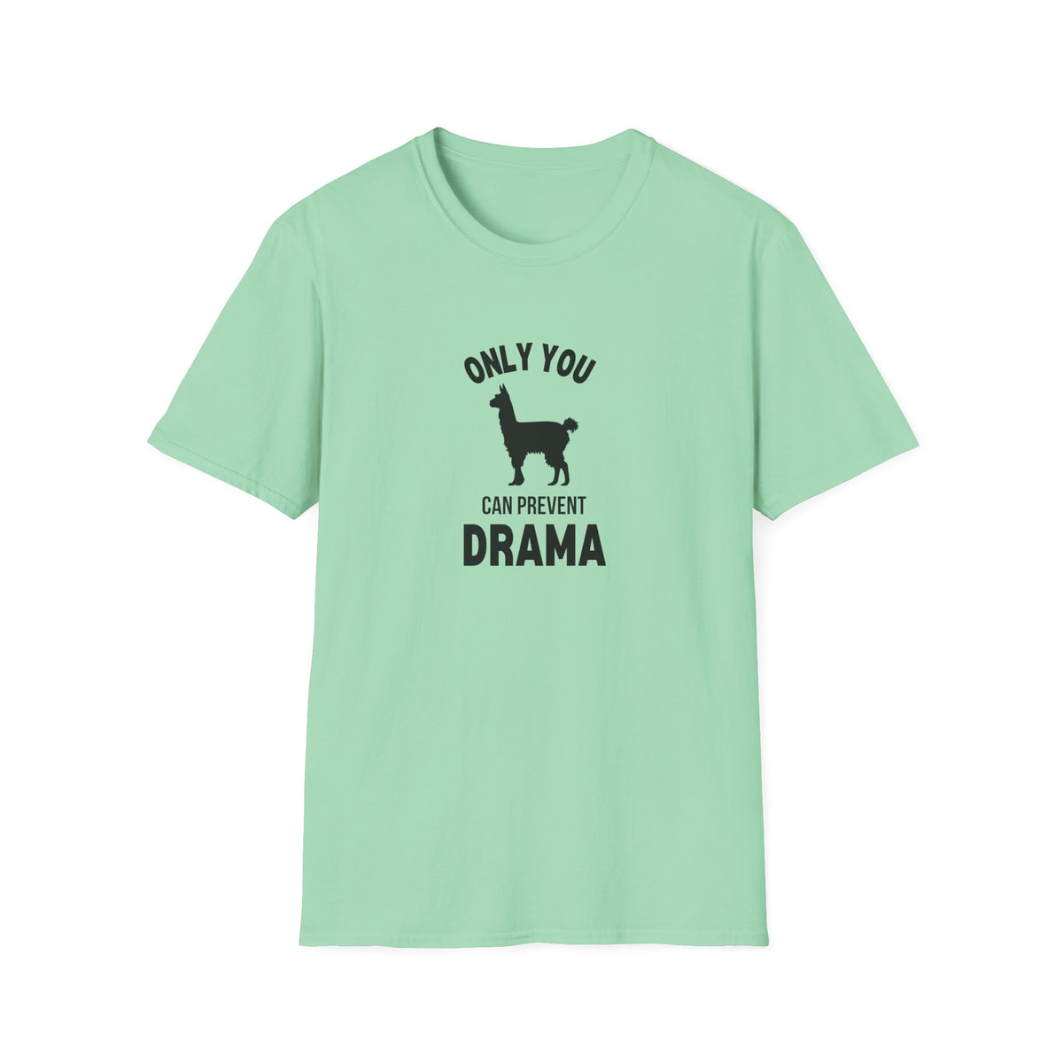 Only You Can Prevent Drama T-Shirt